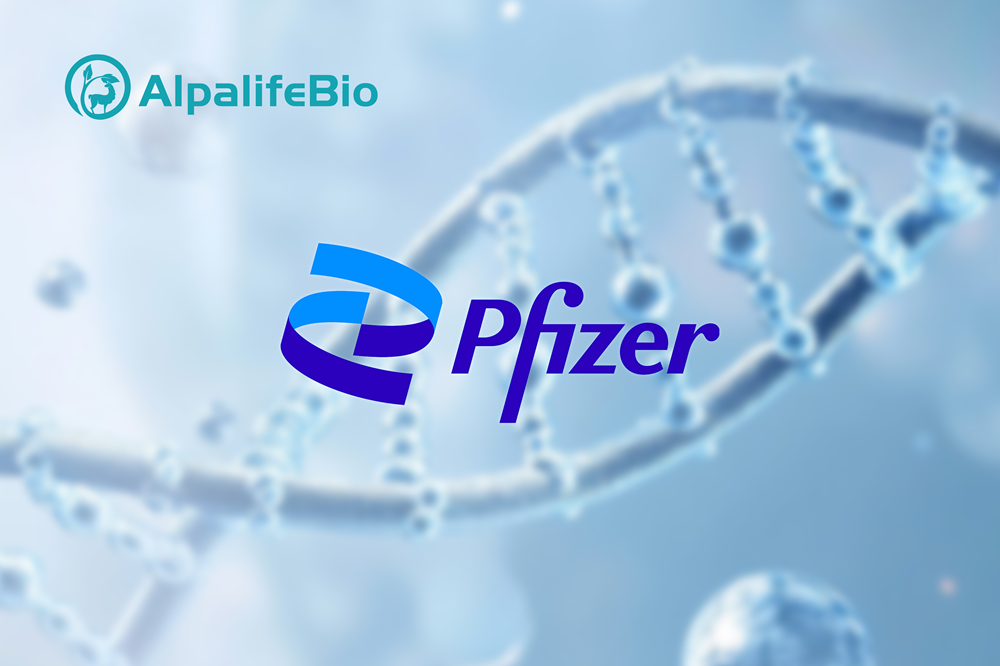 Pfizer.png